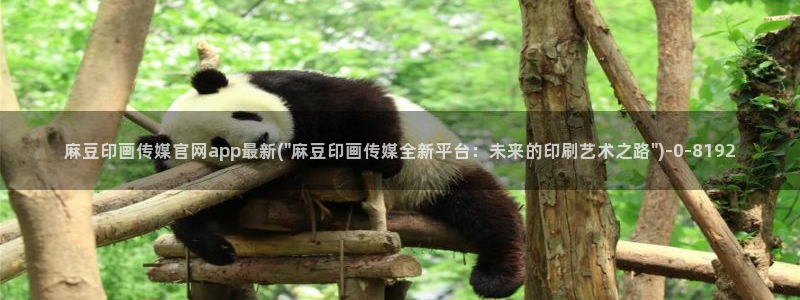 麻豆传媒直播官网黄：麻豆印画传媒官网app最新(\