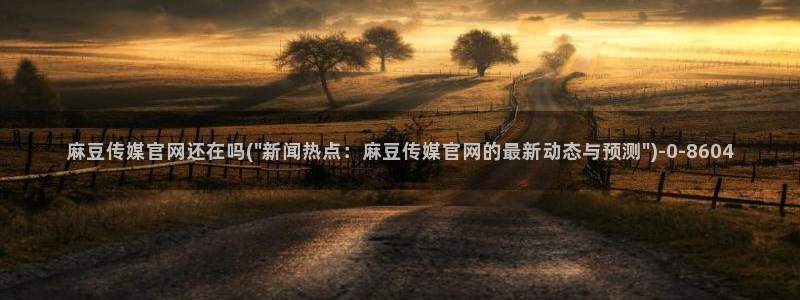 麻豆腐传媒官网：麻豆传媒官网还在吗(\