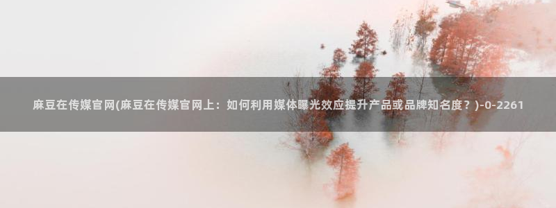麻豆传媒官网社区：麻豆在传媒官网(麻豆在传媒官网上：如何利用媒体曝光效应提升产品或品牌知名度？)