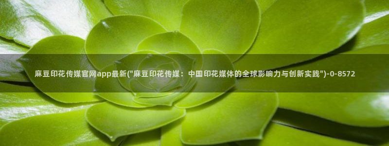 麻豆腐传媒官网：麻豆印花传媒官网app最新(\