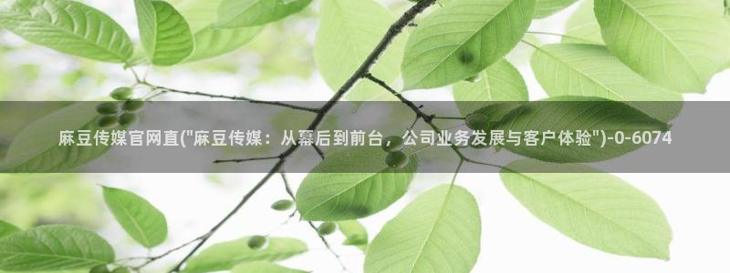 麻豆传媒剧情官网：麻豆传媒官网直(\