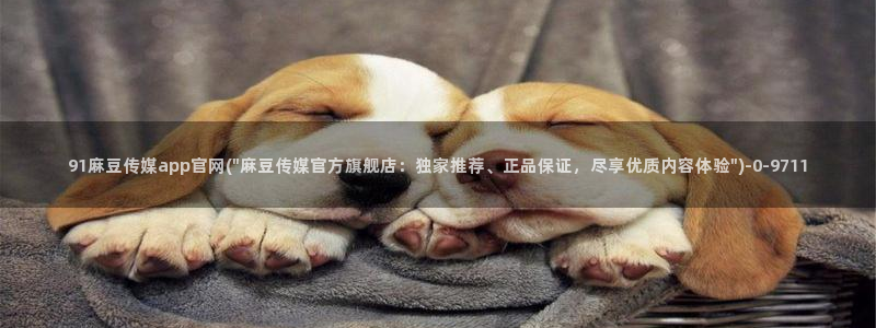麻豆传媒官网影视：91麻豆传媒app官网(\