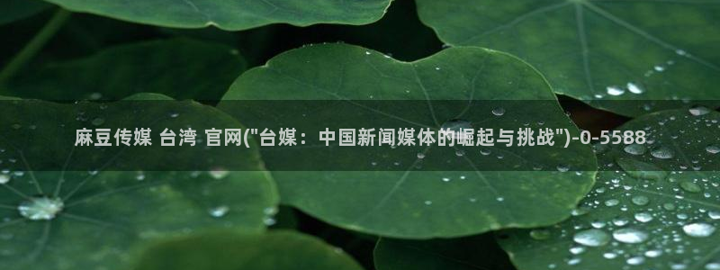 91麻豆传媒官网破解：麻豆传媒 台湾 官网(\