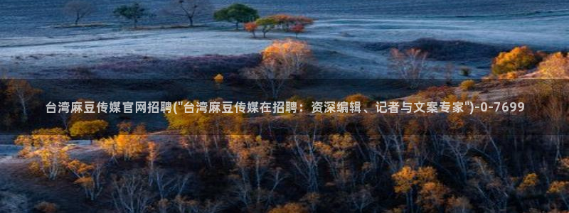 麻豆腐传媒官网：台湾麻豆传媒官网招聘(\