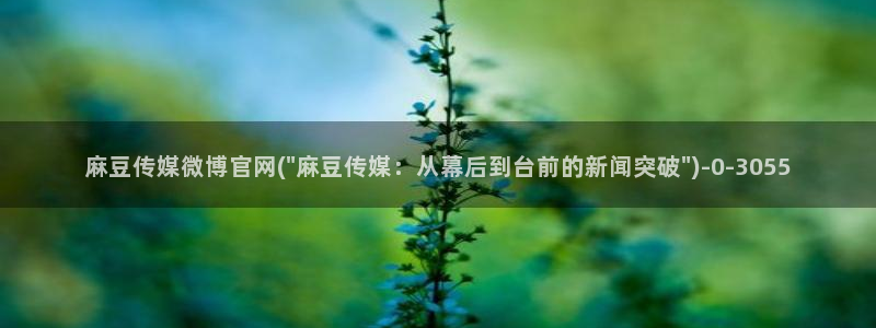 麻豆传媒电影官网：麻豆传媒微博官网(\
