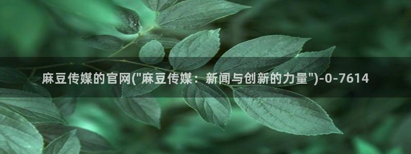 麻豆自制传媒官网黄：麻豆传媒的官网(\