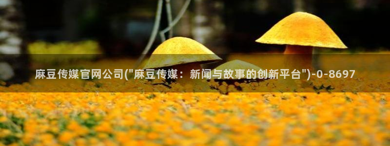 麻豆传媒官网MDSapp下载：麻豆传媒官网公司(\