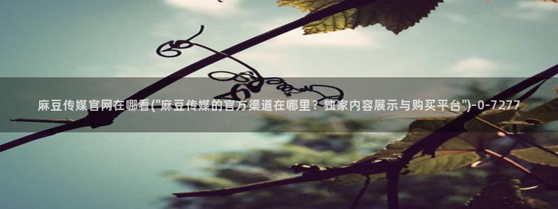 麻豆传媒直播官网一：麻豆传媒官网在哪看(\