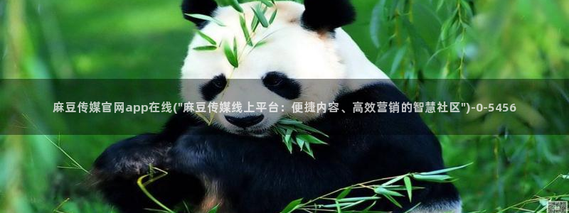 麻豆传媒官网怎么破解：麻豆传媒官网app在线(\