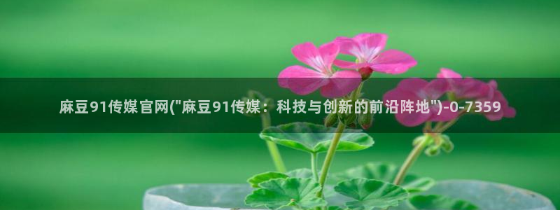麻豆传媒官网怎么破解：麻豆91传媒官网(\