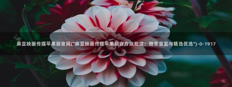 麻豆传媒眏画官网：麻豆映画传媒苹果版官网(\