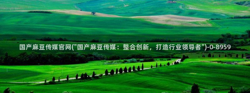 麻豆传媒app官网成人：国产麻豆传媒官网(\