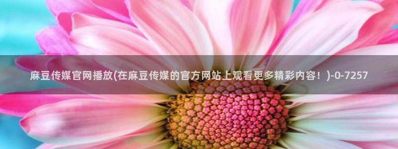 91麻豆传媒官网地址：麻豆传媒官网播放(在麻豆传媒的官方网站上观看更多精彩内容！)
