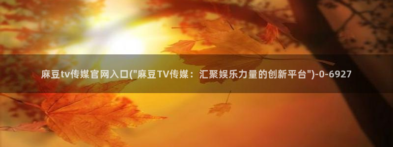 麻豆传媒官网原创：麻豆tv传媒官网入口(\