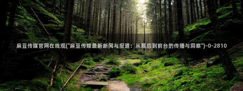麻豆传媒动画官网：麻豆传媒官网在线观(\