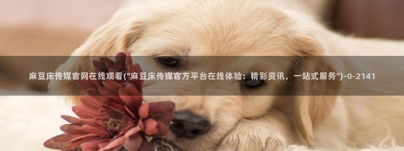 麻麻豆传媒官网：麻豆床传媒官网在线观看(\