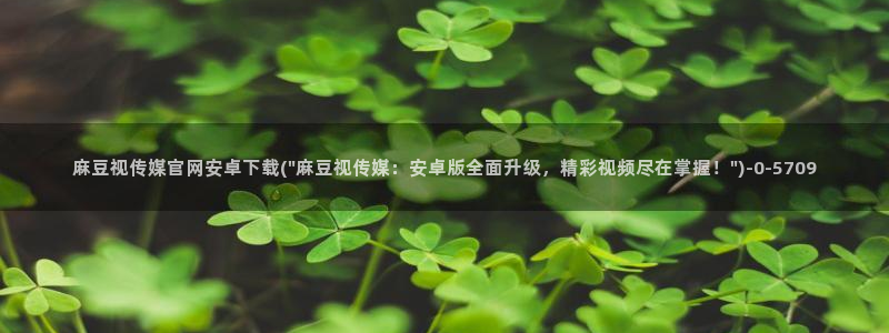 麻豆传媒官网官方入口：麻豆视传媒官网安卓下载(\