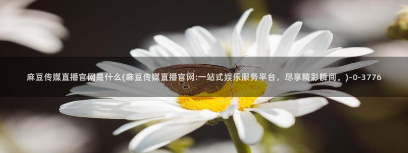 麻豆传媒官网在哪看：麻豆传媒直播官网是什么(麻豆传媒直播官网:一站式娱乐服务平台，尽享精彩瞬间。)