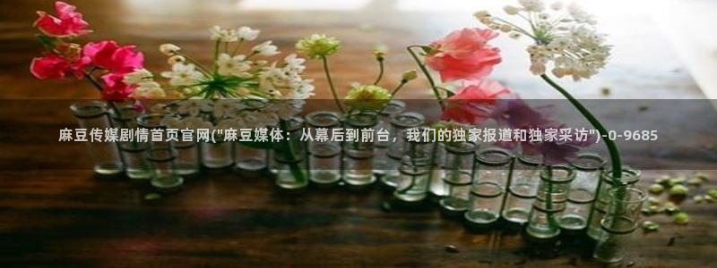 麻豆传媒官网在哪里：麻豆传媒剧情首页官网(\